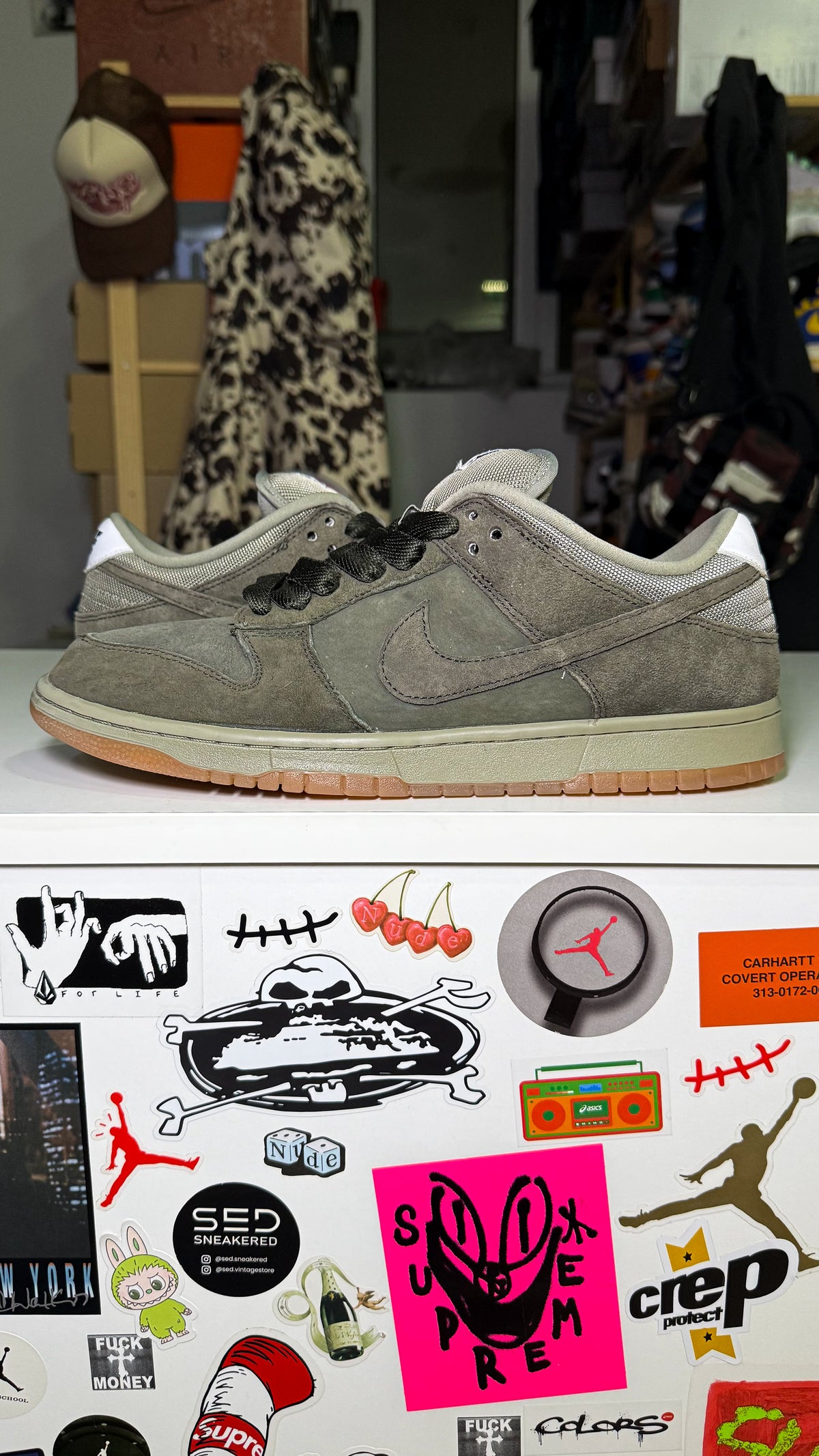 Nike SB Dunk Low Pro B ‘Sequoia’ 2025 - Recondicionado